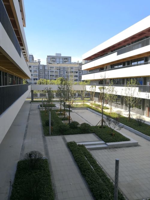 嘉兴新校园科技赋能，智慧建设引领教育新风尚