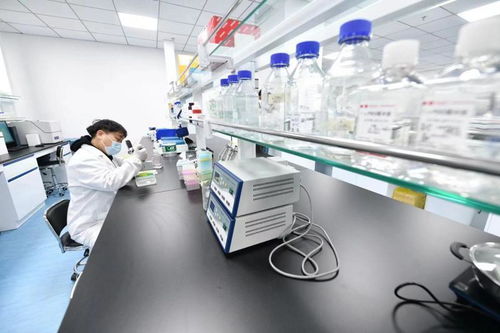 北京亦庄生物医药园企业全力以“复”，技术开发驱动产业新活力